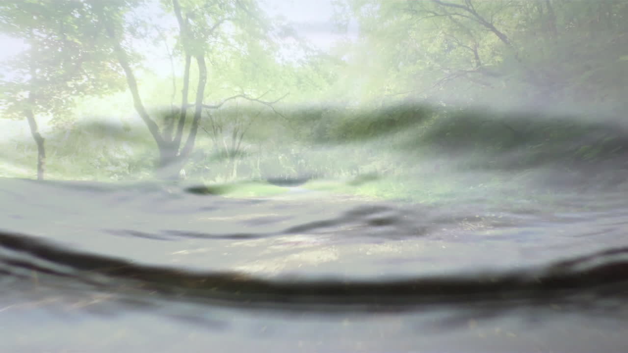 Flowing water animation with lush green trees in serene forest landscape