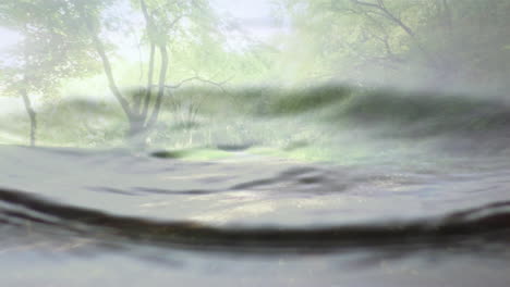 flowing water animation with lush green trees in serene forest landscape