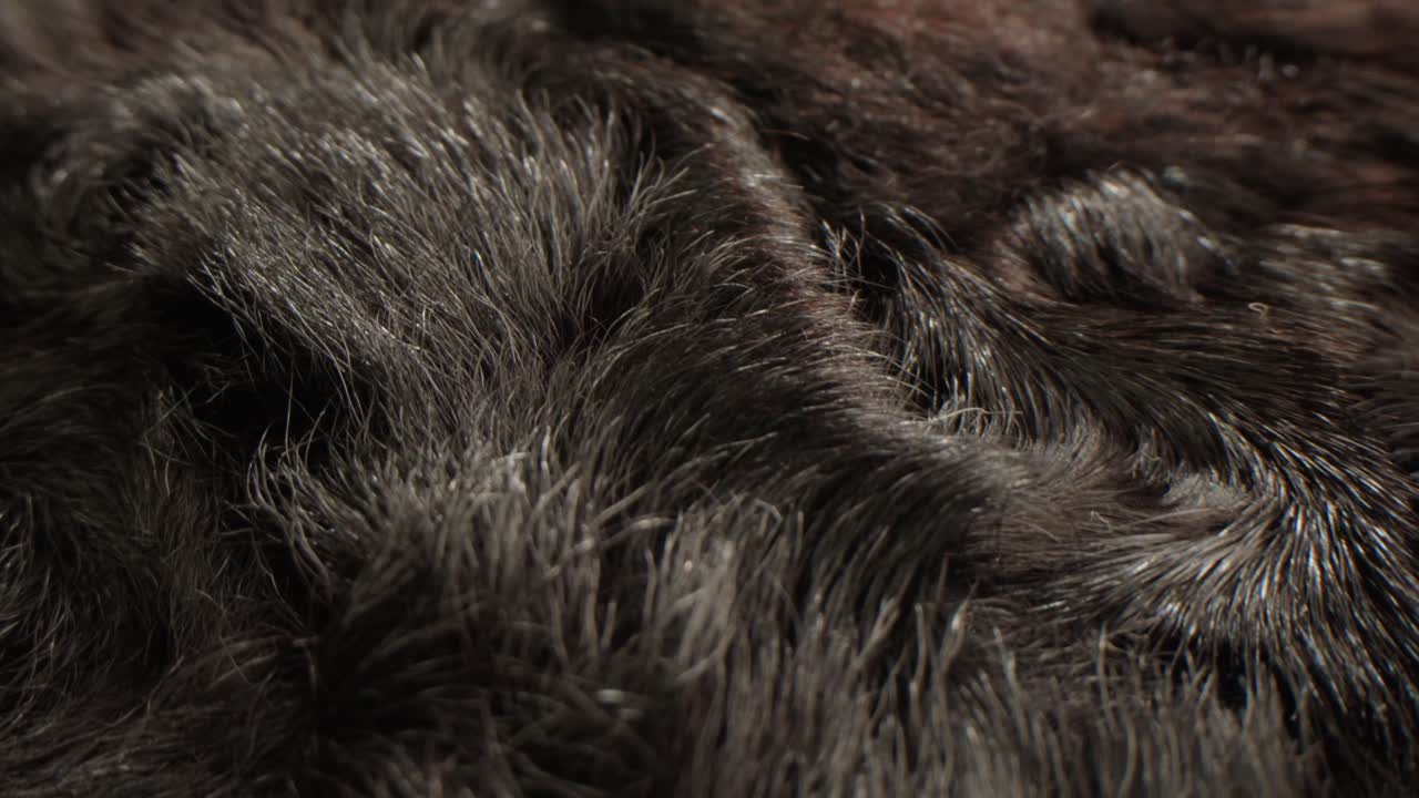 Primo piano di texture di pelliccia animale