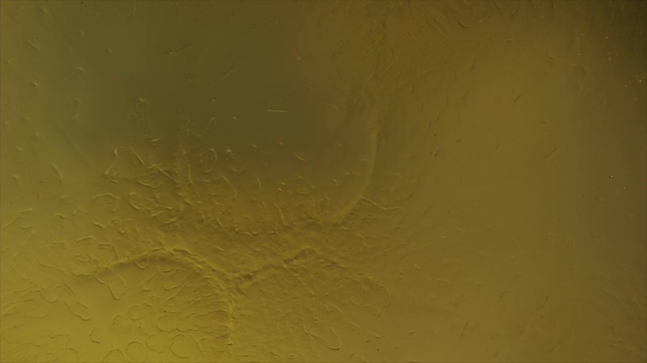 hay algo allí, debajo de la superficie dorada, algo maravilloso, o tal vez simplemente realmente extraño; para obtener más información, busque "videoclip abstracto" entre comillas