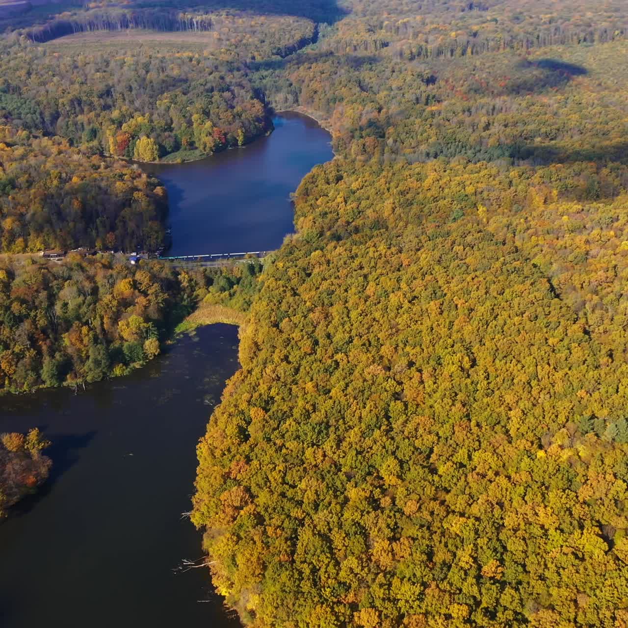 Wonderful scenery of woodlands in autumn season. Aerial view of forests on sunny bright day. Road with cars crossing the natural landscape