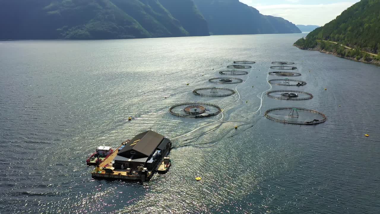 노르웨이에서 연어  ⁇ 시를 하는 공중 촬영