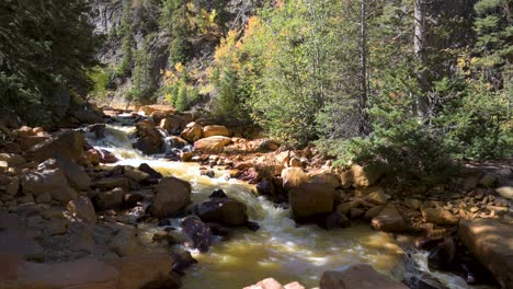 Blick-Auf-Einen-Gelben,-Sauren-Fluss,-Der-Durch-Abflusswasser-Aus-Lokalen-Gold--Und-Silberminen-Entsteht,-Das-Tagsüber-Durch-Den-Wald-Fließt