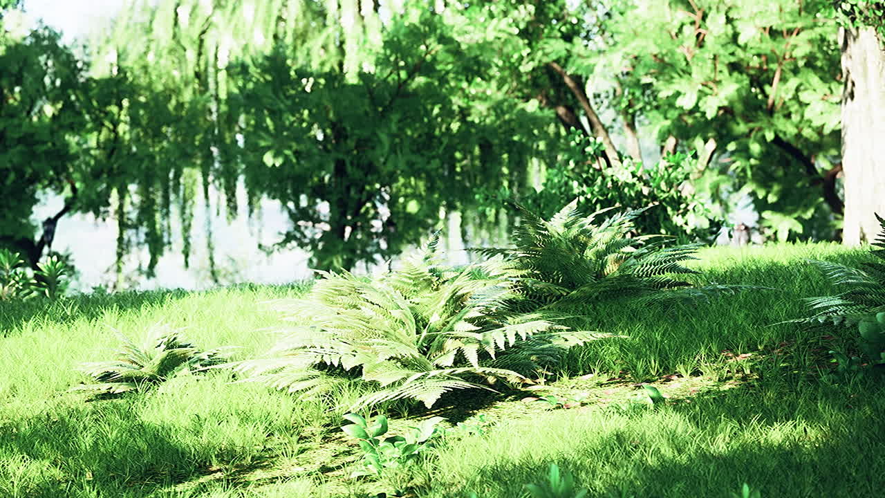 rayo de amanecer en el hermoso parque de verano