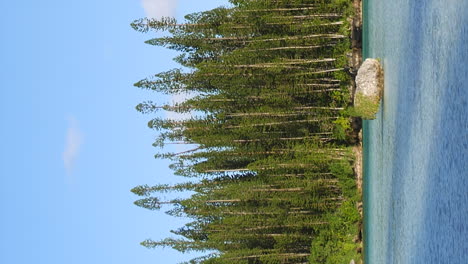 Schwimmender-Felsen-Im-Natürlichen-Pool-Der-Oro-Bucht-In-Der-Nähe-Von-Säulenkiefern,-Vertikales-Format