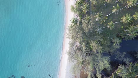 Türkisfarbene-Wasserpalmen-Am-Naturstrand-Taphao