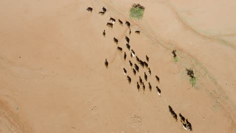 Republik-Namibia-Im-Südlichen-Afrika