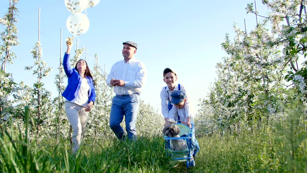 매일 미소를 짓는 법을 알고, 어떻게 살아야 하는지 알고