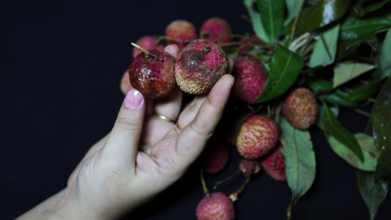Tampilan dekat leci busuk dengan pertumbuhan jamur yang menyoroti pembusukan buah