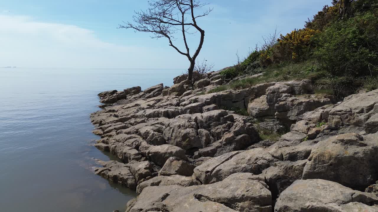 Aerial view over paradise rocky slope shoreline with weathered tree calming tide and blue sky