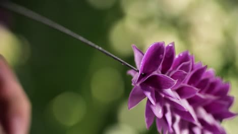 making of beautiful, exotic flower garland, close up