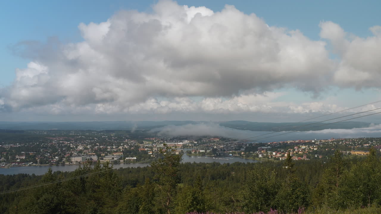 Härnösand, Sweden, scenic city surrounded by lush forest and lake under a cloudy sky, wide landscape view
