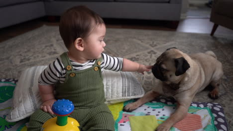 Lindo-Bebé-Con-Pug-Cachorro-Adorable