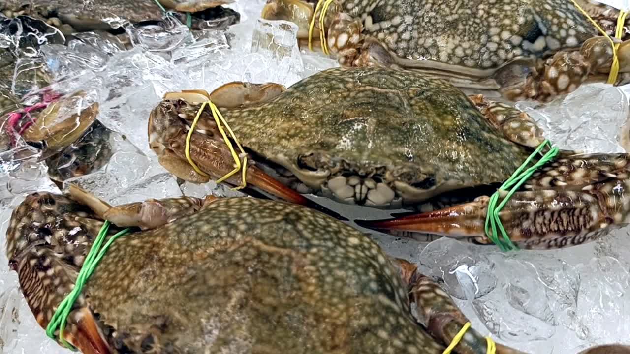 Live crabs displayed for sale with their legs and claws tied to prevent escape. Placed on ice to maintain freshness and quality.