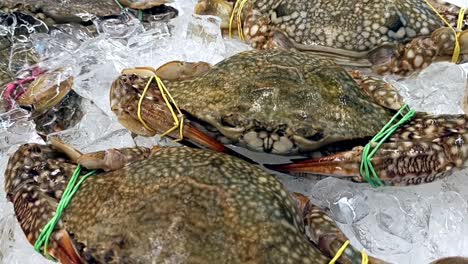 live crabs displayed for sale with their legs and claws tied to prevent escape. placed on ice to maintain freshness and quality.