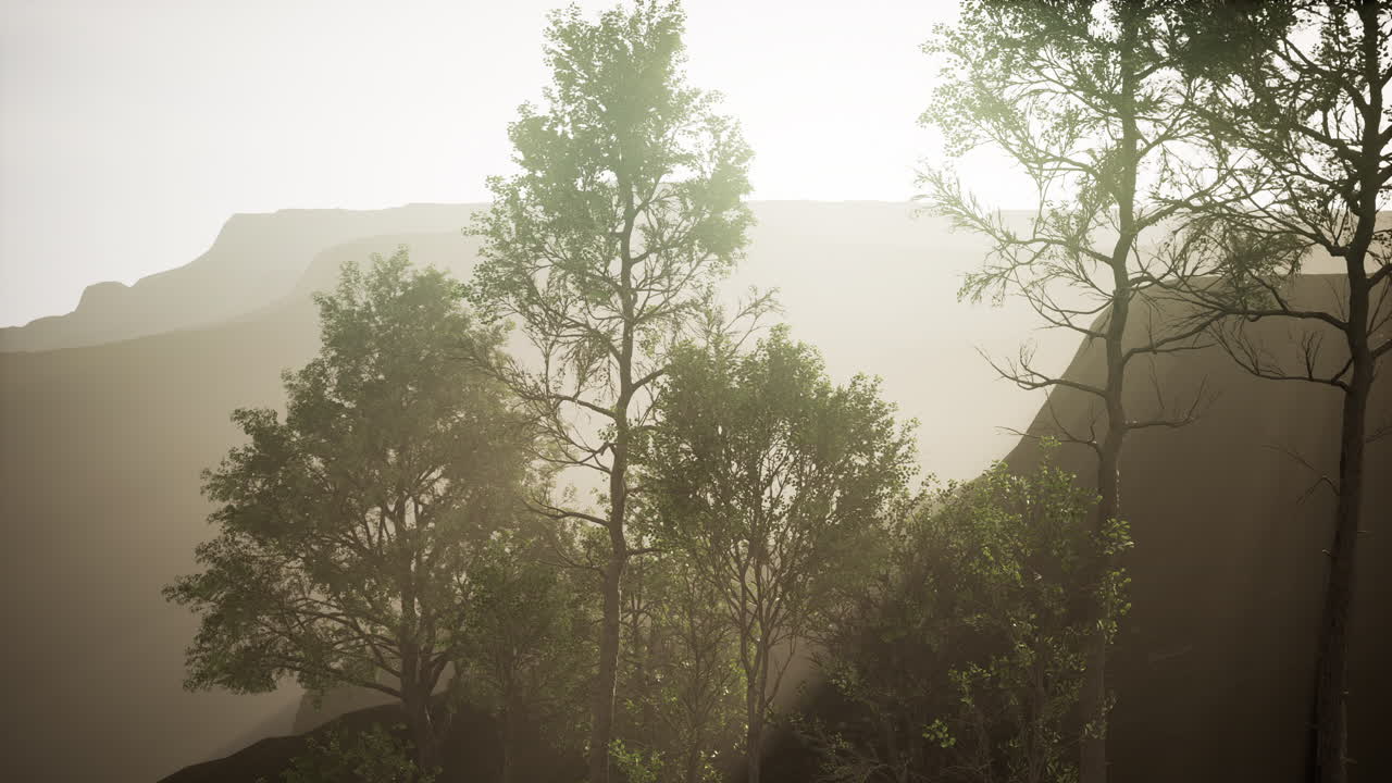 중국의 소나무와 후앙산 산