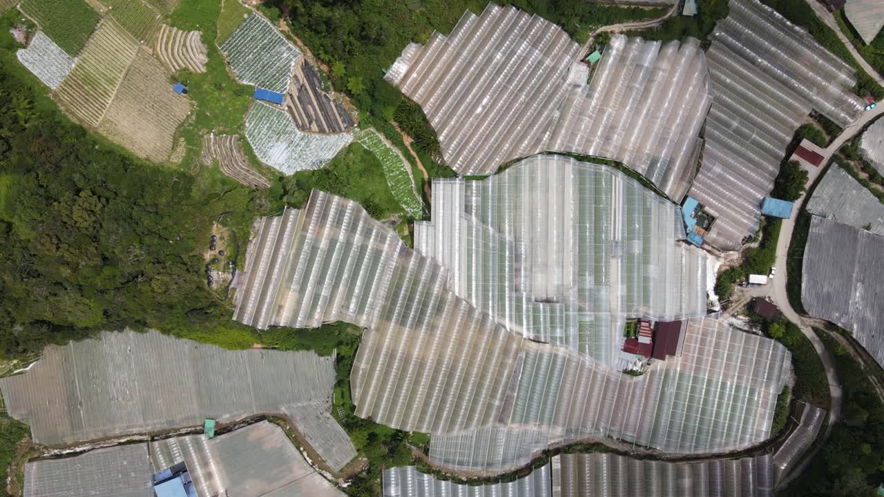 말레이시아의 카메론 하이랜드 지역 내의 브린창 지역의 일반 풍경