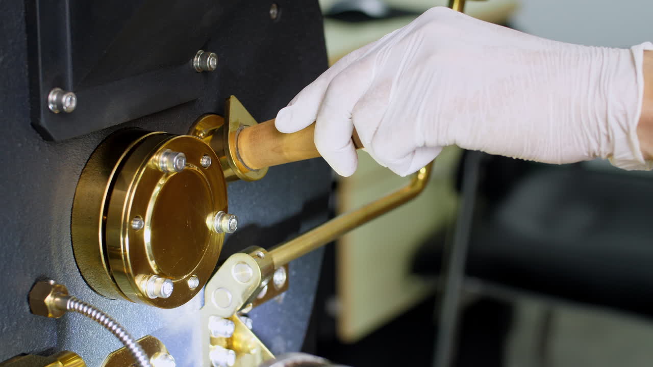 Hand Holding A Probe Of Fresh Roasted Coffee Beans