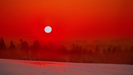 el sol ardiente como un orbe de luz se pone más allá del bosque neblinoso de invierno - lapso de tiempo del atardecer