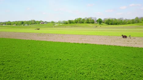 a beautiful aerial of amish farmers tending their fields with horse and plow