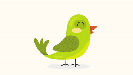 little and cute green bird animation