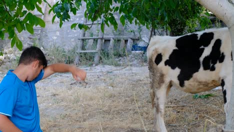 calf-loving man village