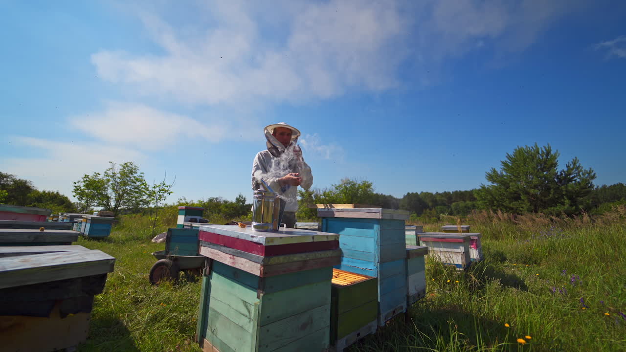 Apiary under blue sky. Chimney with smoke on a beehive. Beekeeper working near wooden hives in summer. Apiculture among green nature.
