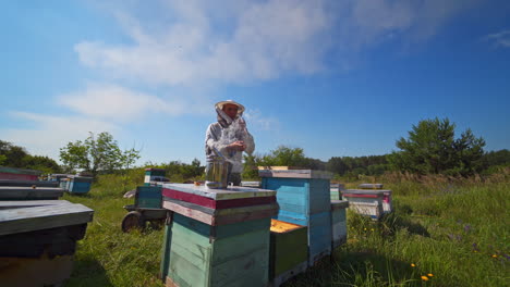 apiary under blue sky. chimney with smoke on a beehive. beekeeper working near wooden hives in summer. apiculture among green nature.