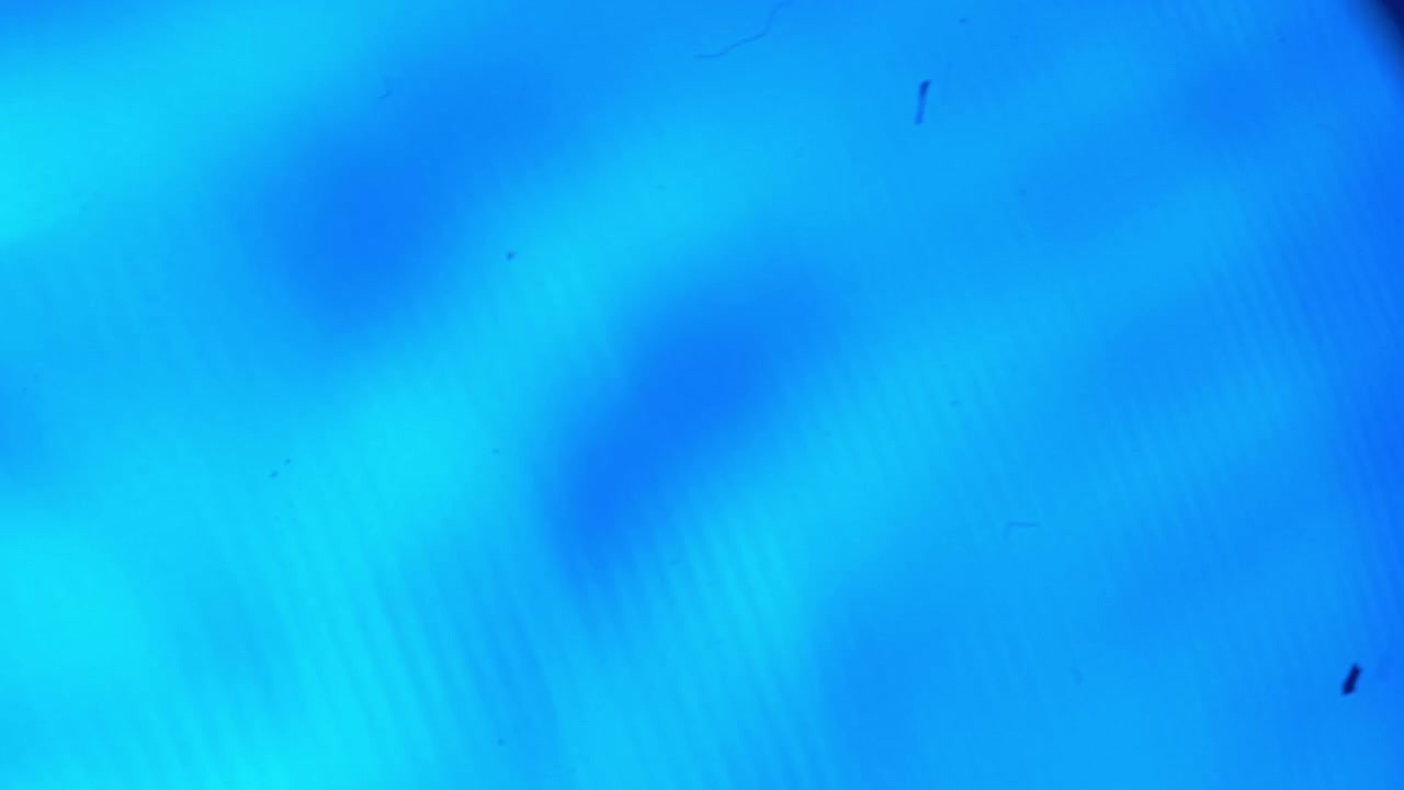 Sfondo Animato Astratto Blu con Effetti di Luce e Movimento Ondulato
