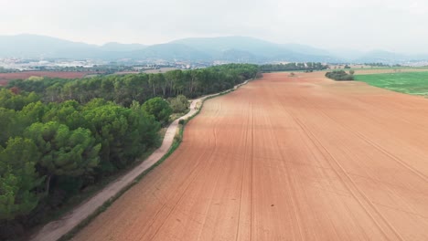 cultivated farm fields with green forest on the side, aerial