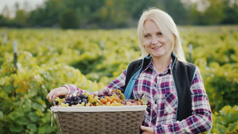 portrait of an attractive farmer with a basket of grapes smiles looks into the camera