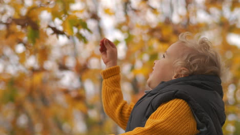 cute child is playing with yellow leaves on tree sitting on shoulders of parent rejoicing and rejoicing portrait of happy baby in park