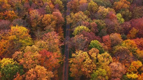 flying forward and looking down at straight gravel road going through colorful autumn forest