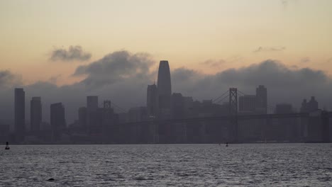 Pájaro-Vuela-A-Través-De-La-Bahía-De-San-Francisco-Durante-Una-Noche-Tranquila