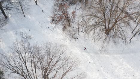 Aerial-long-shot,-person-walking-alone-during-winter-on-snowy-forest-path