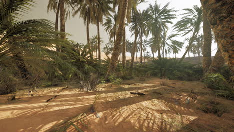 Sanddünen-Und-Palmen-In-Der-Wüste-Sahara