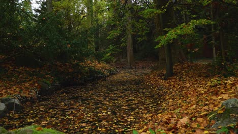 Pequeño-Estanque-En-El-Bosque-En-Otoño