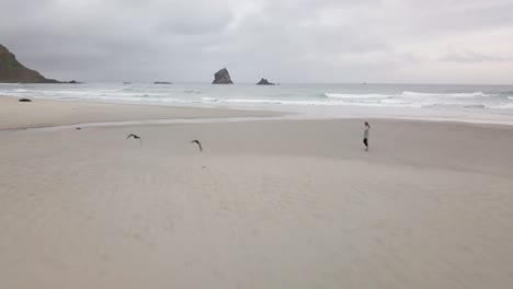 chica aventurera caminando por la playa aislada de nueva zelanda con pájaros volando