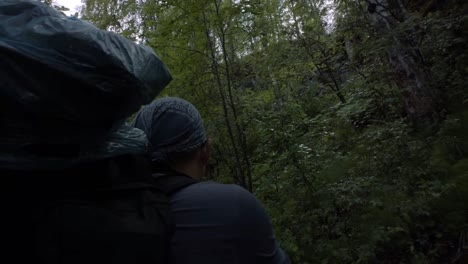 hiker in the forest