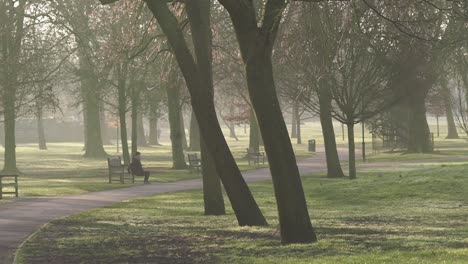 a young girl is exercising using the bench in the misty morning in quenn's park, london.
