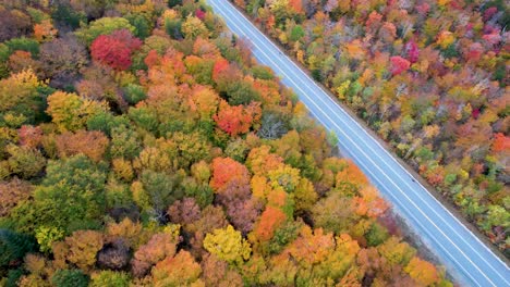 Aerial-view-cars-driving-road-in-New-England-Forest-with-Fall-colors