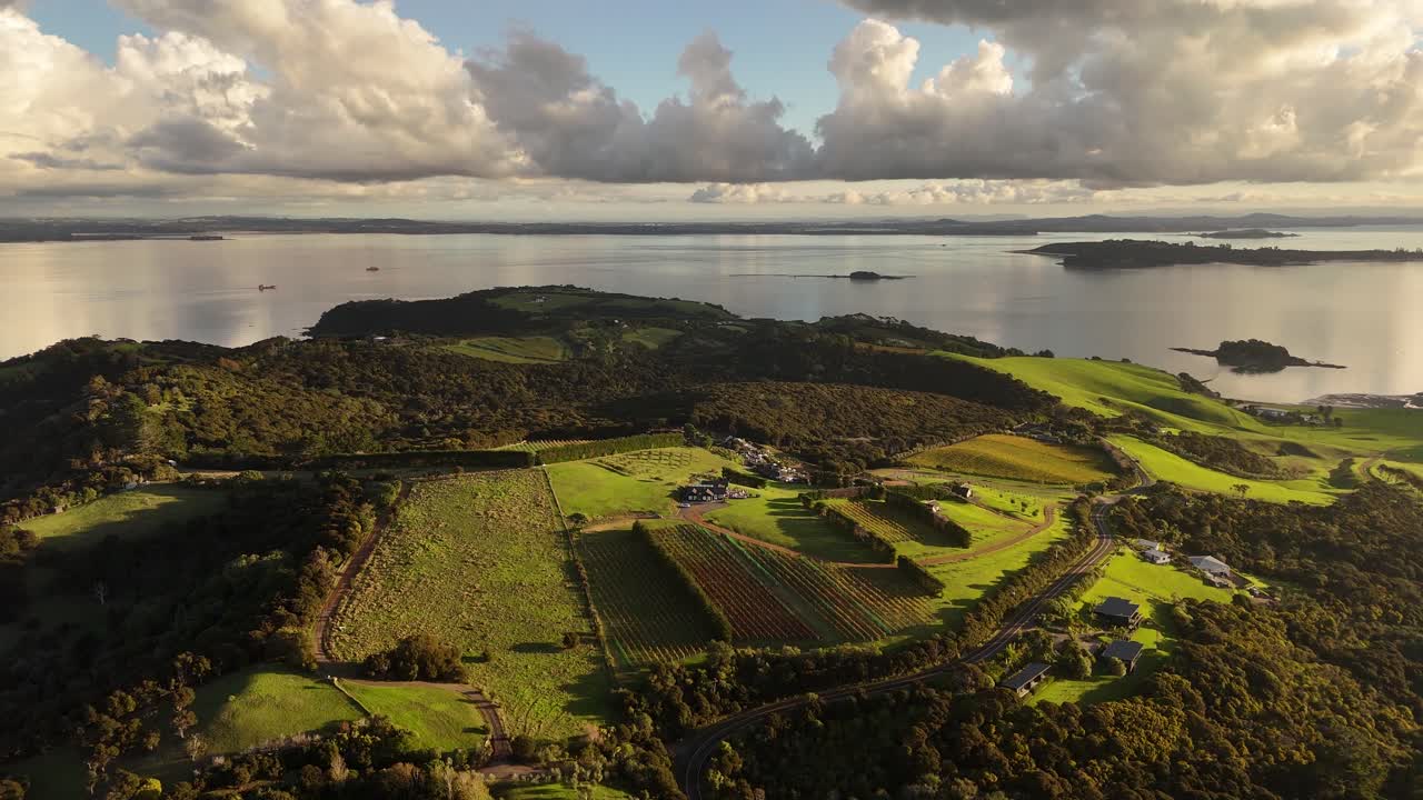 Aerial view of Waiheke Island, New Zealand, showing scenic vineyards and charming houses nestled on hilltops during a golden sunset