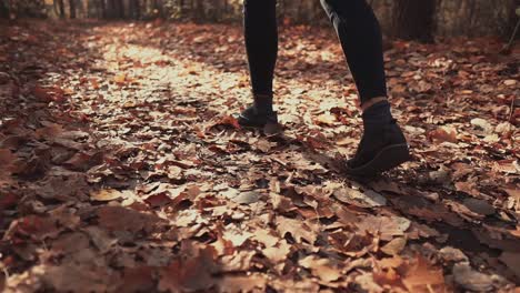 person walking through a fall forest path