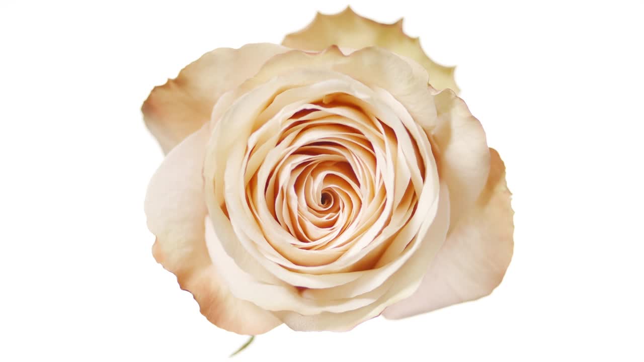 la gota cae sobre una superficie líquida transparente creando círculos