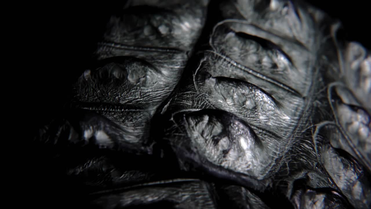 マクロクローズアップモーションビューのワニ皮素材のローブ