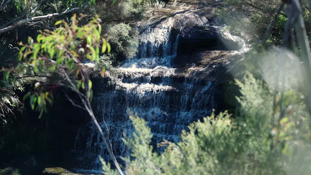 Cascades In The Tropical Nature Of Blue Mountains National Park In New South Wales, Australia. Slow Motion Shot