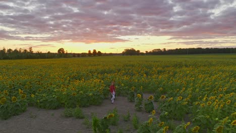 Junges-Mädchen-Inmitten-Eines-Perfekten-Sonnenblumenfeldes---Drohnenaufnahme