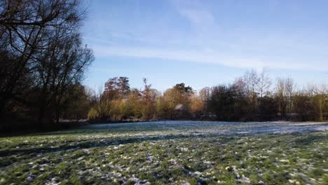 Snow-covered-grass-with-birds-flying-past-on-a-sunny,-winter-morning