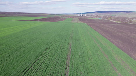 Aerial-view-of-a-large-field-of-green-grass-with-a-few-brown-patches