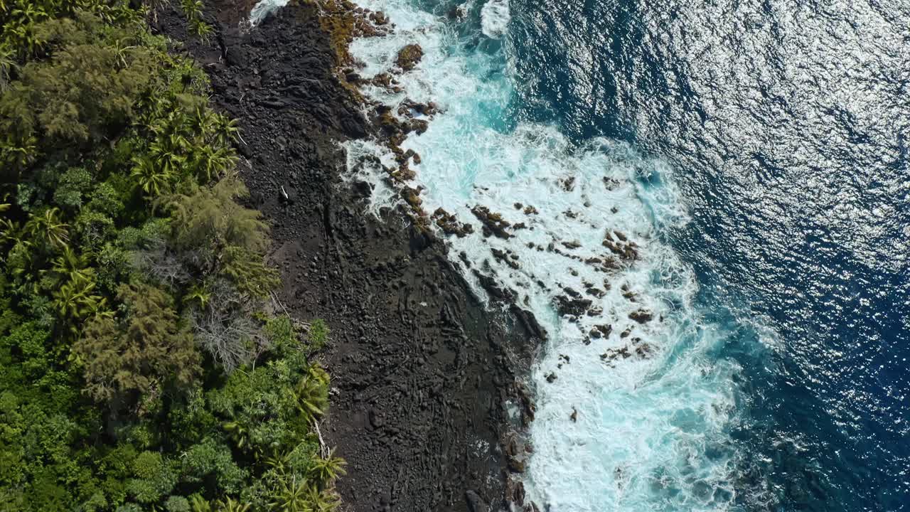 Ovenfra møder Hawaiis frodige, grønne palmekrone det turkisblå Stillehav i et skarpt sammenstød af tropisk vitalitet og vulkansk terræn formet af havet.